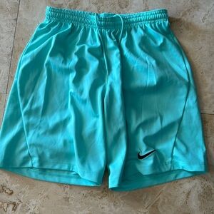 Light turquoise men’s small Nike athletic shorts